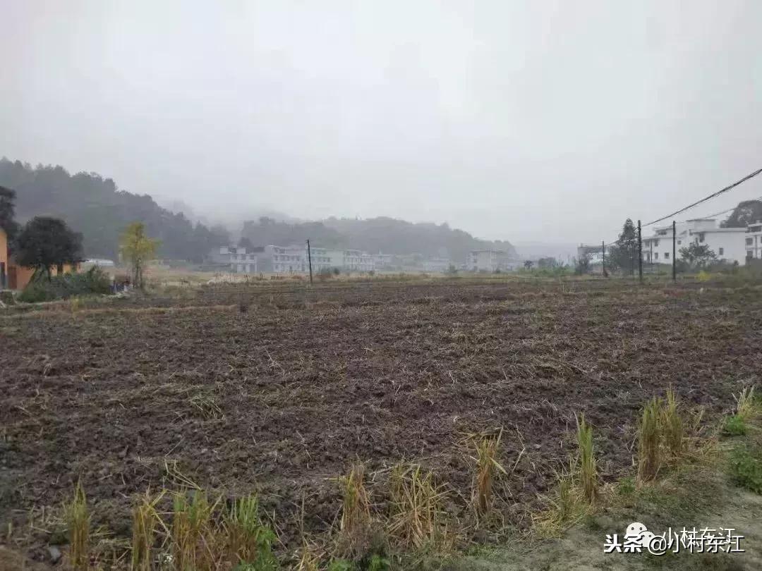 供销社与村委会有什么联系,供销社和当地政府的关系