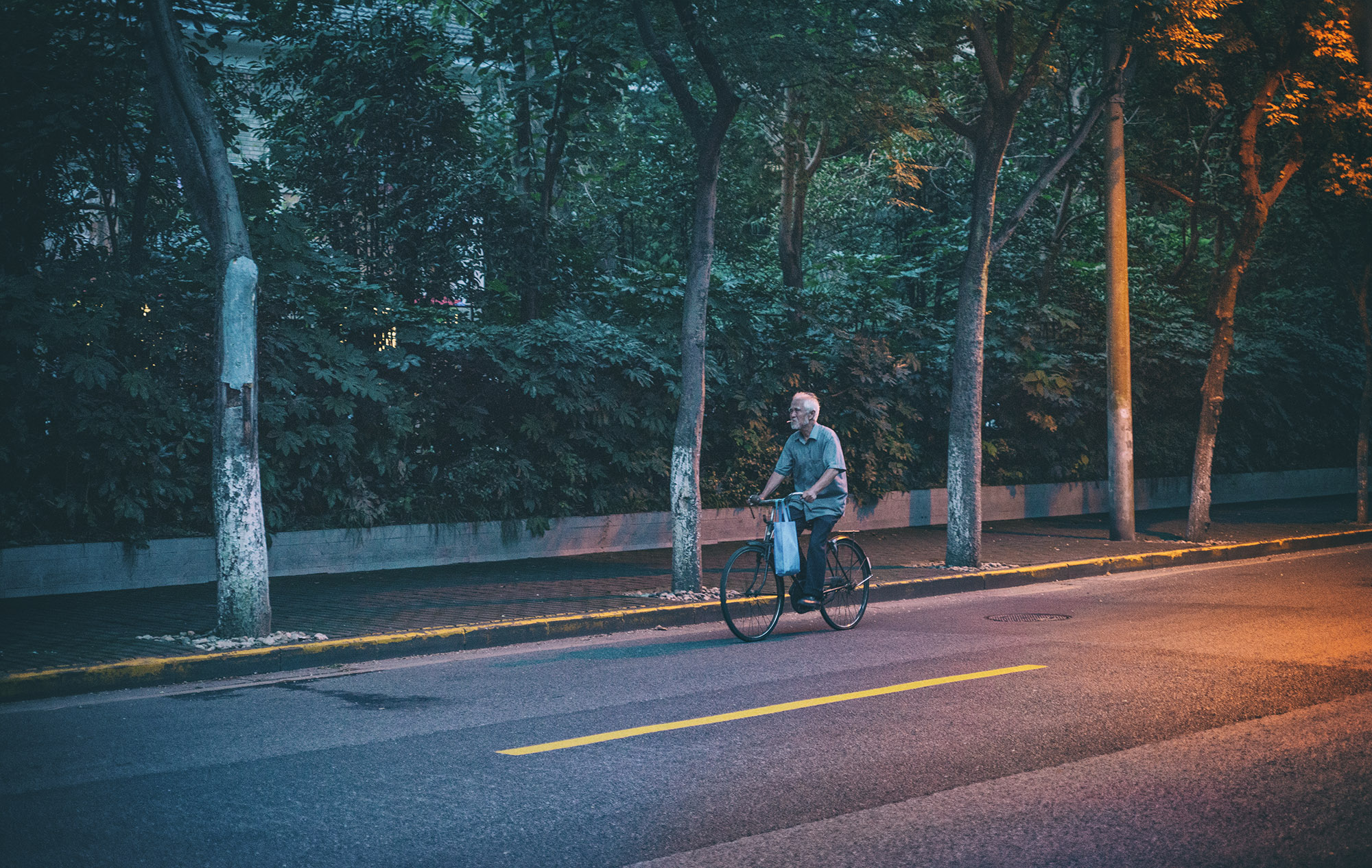 第14篇，尼康相机的标头-2021年元旦快乐