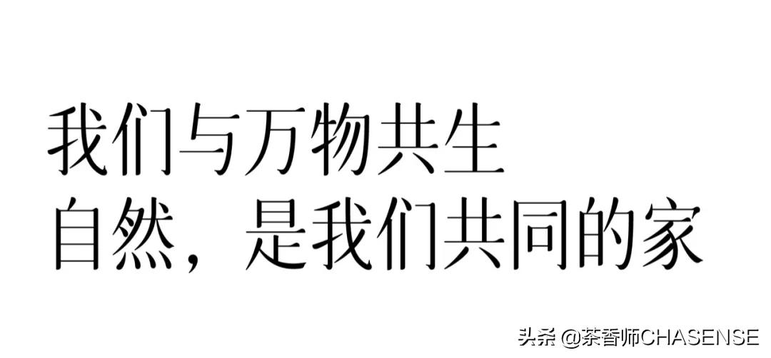 茶香师早春之茶香水 (茶香师香水小样礼盒)