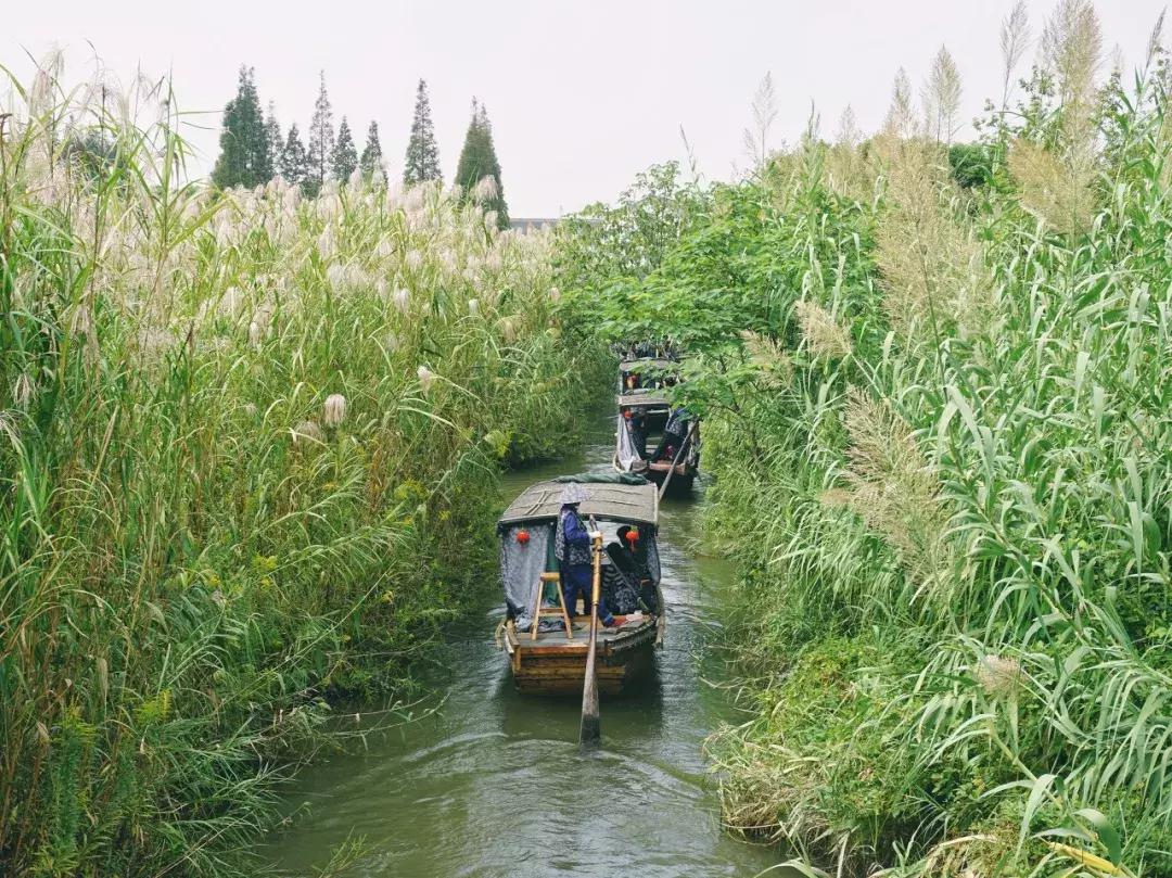 江苏的古镇有哪些值得去看看,江苏最值得打卡的十大古镇