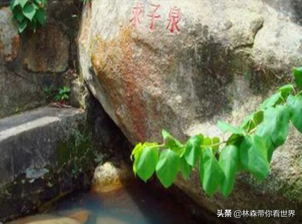 林森带你看世界——中国最美的海岛之：珠海东澳岛