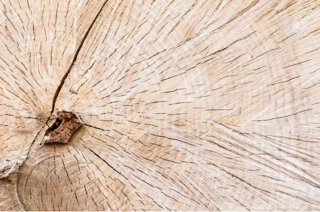 故宫的龙椅是什么木头做成的,故宫的龙椅是什么材质的