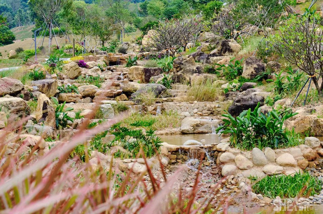 深圳网红公园地铁站,深圳地铁最近有什么公园