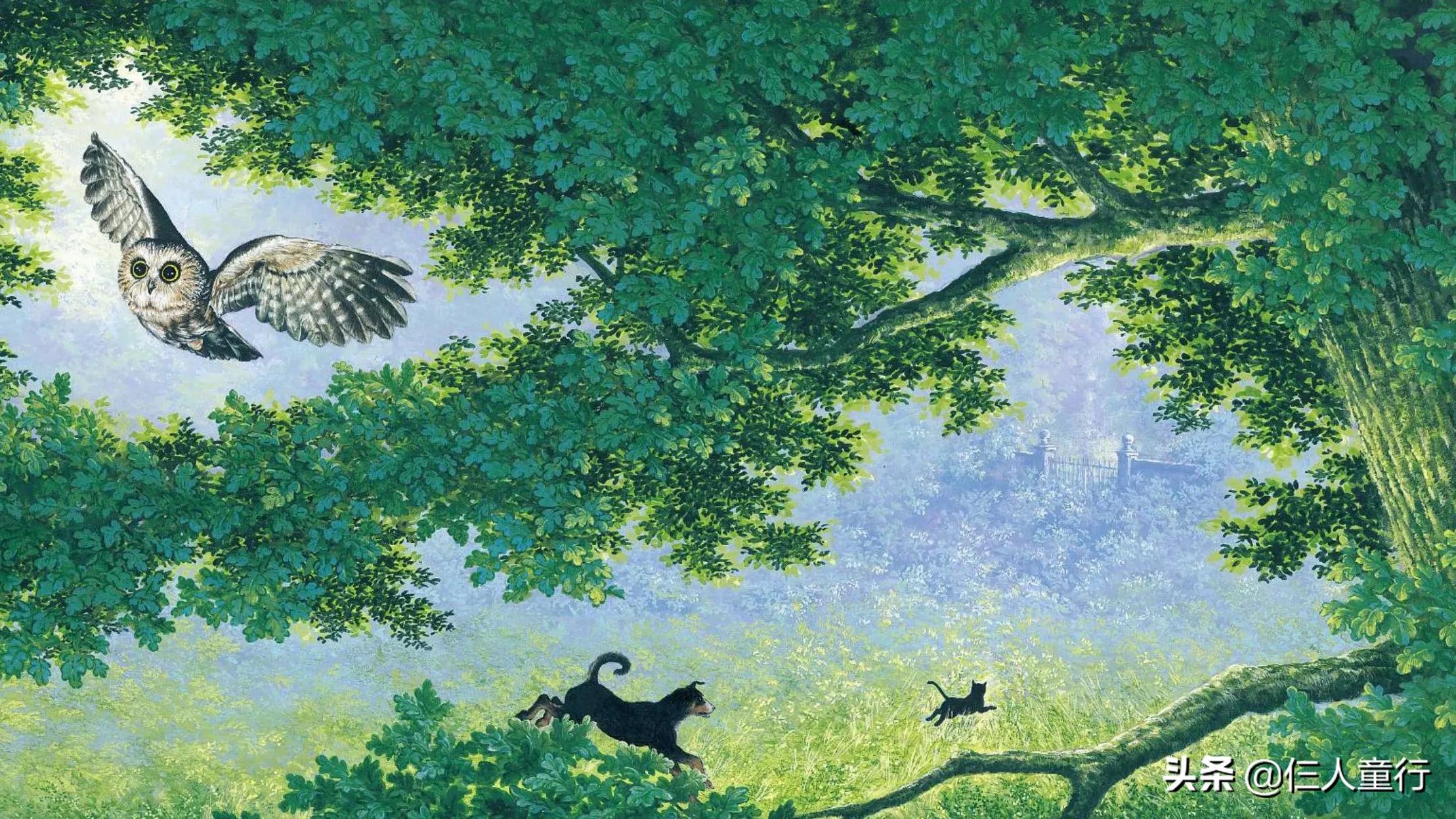 追逐与童趣｜精读世界经典图画书《老鼠，小心》