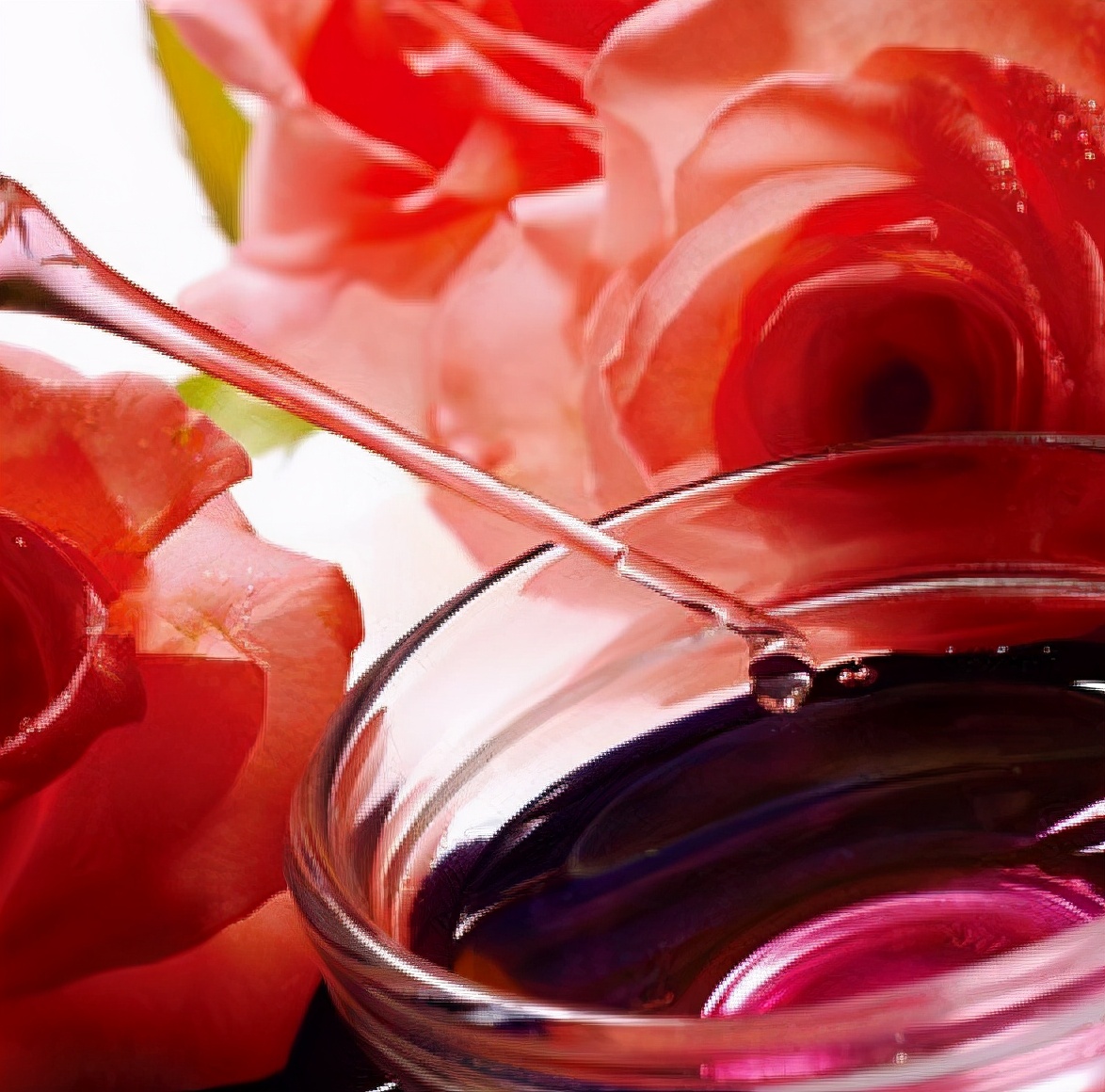 玫瑰精油和迷迭香精油搭配的功效,玫瑰精油用在脸上皮肤会变黑吗