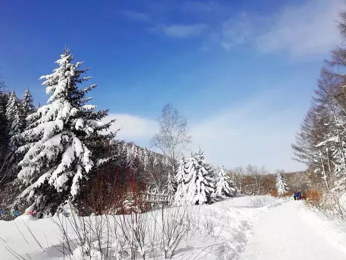 11月份的雪乡有雪吗,雪乡和新雪乡有什么区别