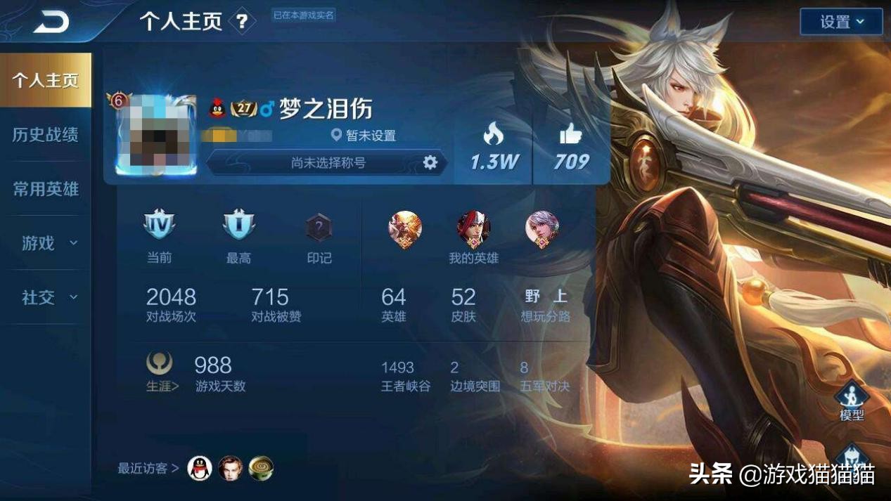 王者荣耀梦泪家族id是什么,王者荣耀梦泪的游戏id微信区