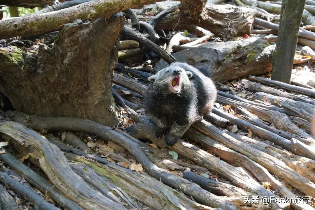 被刘昊然种草的云南小城，全网0攻略，我们花不到2k就逛吃6天