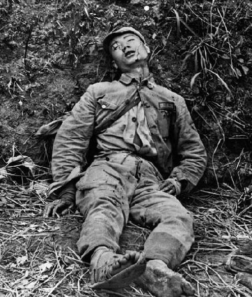 黑豹行动老山作战纪实视频,老山前线黑豹行动