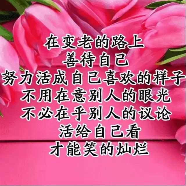 问好表情包｜我喜欢你，像日月轮流交替，不理朝夕