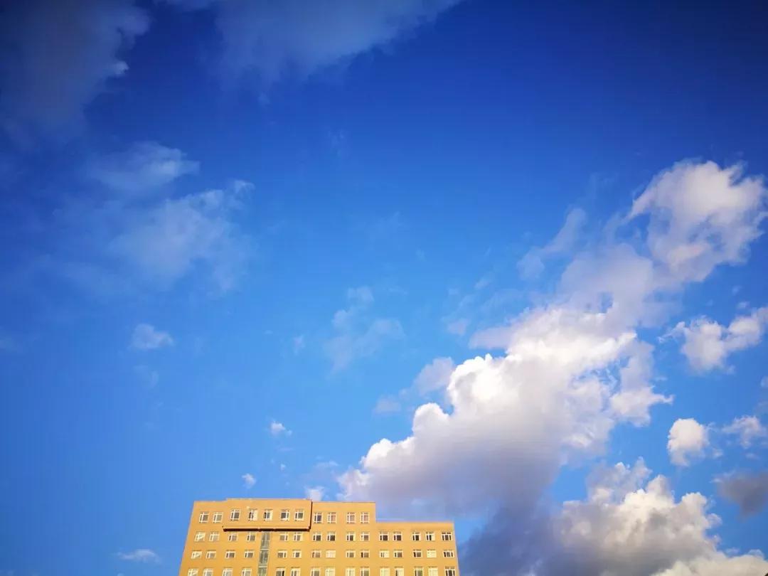 沈阳音乐学院院校代号,辽宁三所高校