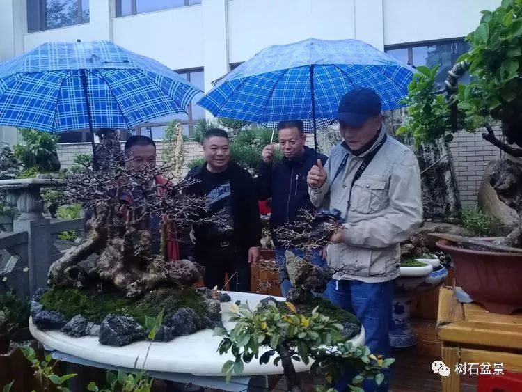 伟大使命复兴中国盆景艺术事业——2019中盆会大事回顾(下篇)