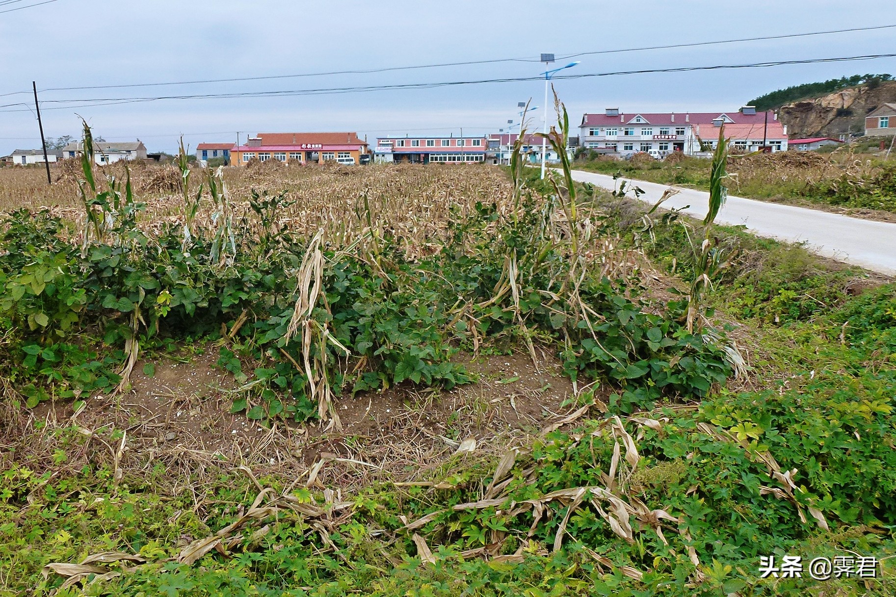 大连皮口港当天往返攻略,大连皮口港坐船攻略