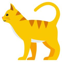 青白江文体中心什么样子,青白江文体中心体育馆