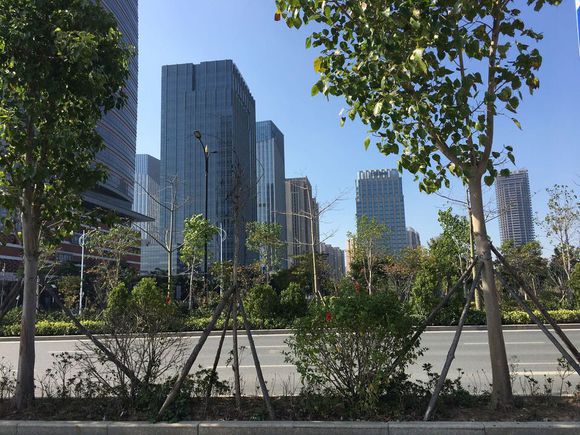 泉州晋江陈埭镇是哪个区,福建晋江陈埭是靠什么发展的