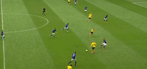 哈兰德和罗纳尔多数据,世界杯贝利罗纳尔多