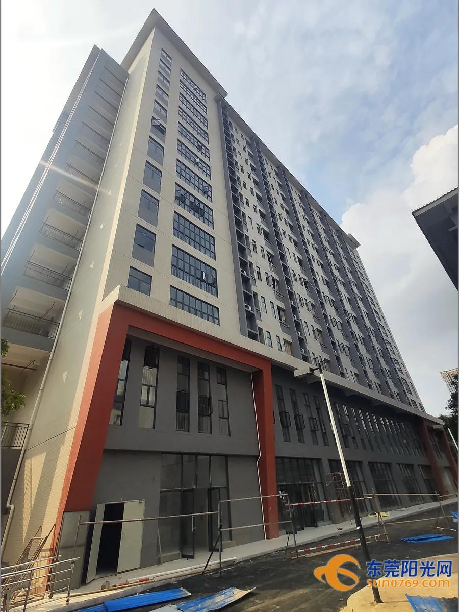 东莞这两年新增的公立学校,东莞市新增公办学校分布在哪里