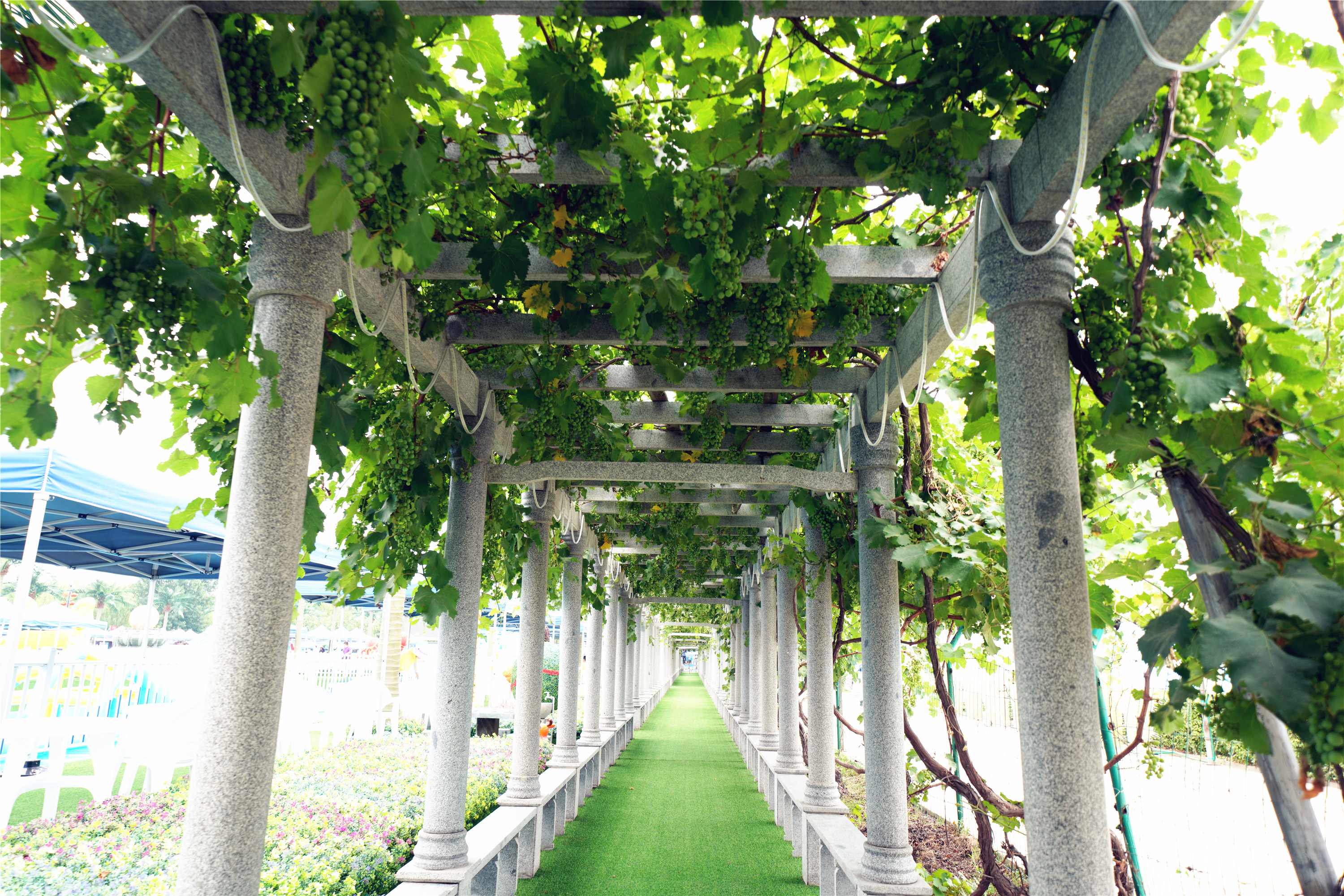 扎啤免费喝，狂欢100天仅需198元，慧灯庄园喊你盛夏尽情嗨