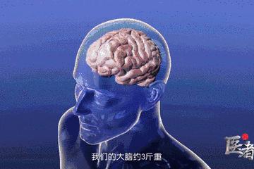 为什么缺乏维生素b会口腔溃疡,口腔溃疡是缺乏维生素什么导致的