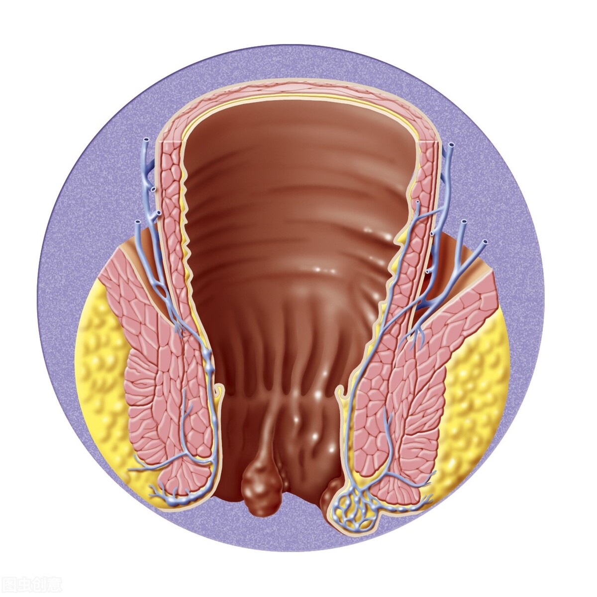 帮你轻松解决痔疮烦恼,日本强力痔疮膏帮你摆脱痔疮烦恼