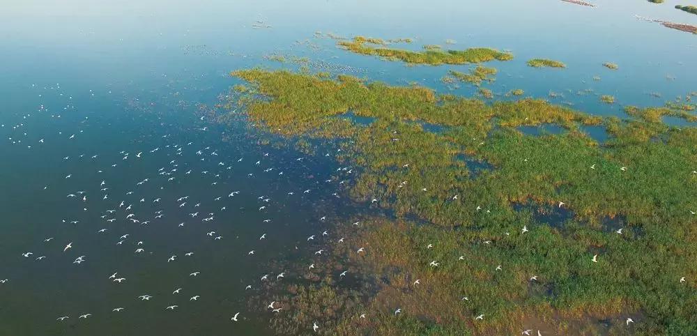 官宣外交部将向全世界推介天津,外交部推介天津中文版