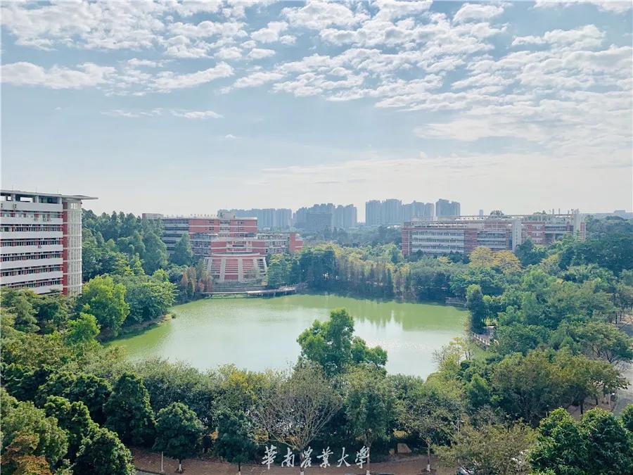 报考华南农业大学,华农报录比