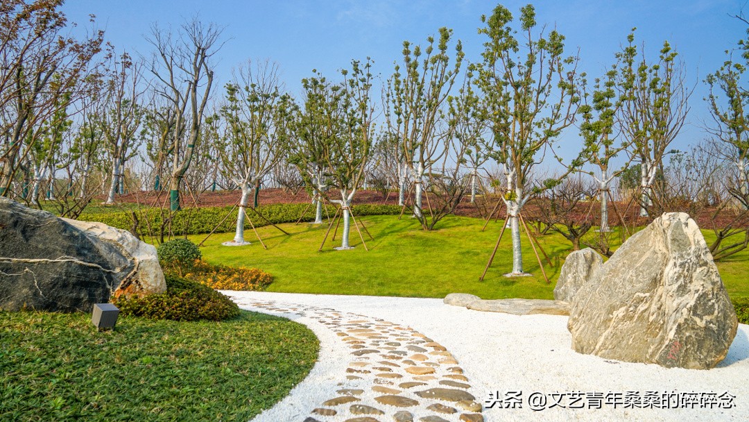 牛首山佛顶宫游览顺序,牛首山佛顶宫初体验