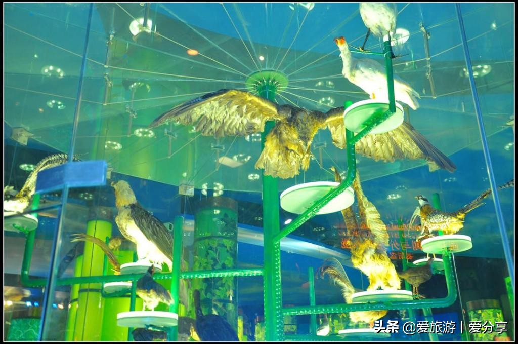 上海科技馆游玩攻略,景点打卡上海科技馆