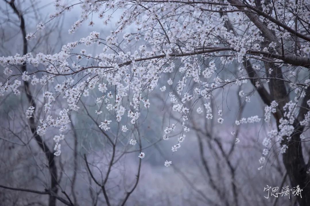 佳能rf70-200mmf4镜头价格,轻巧大光圈长焦佳能rf70-200mmf2