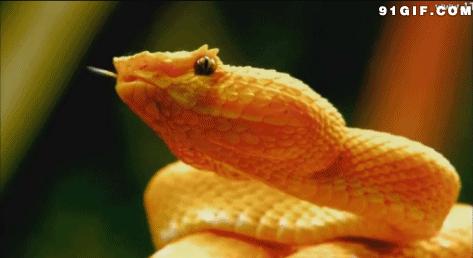 平和的心态才是治愈成年人的良药,保持心态平和做自己的治愈者