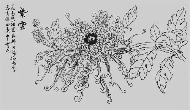 分享几组简单实用的写意花鸟画法,国画教程花鸟基本画法值得珍藏