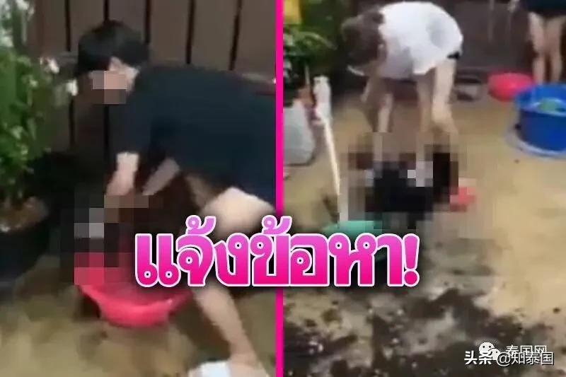 “变性人打狗”泰国热搜?比灾难更可怕的是灾难中现形的人心险恶