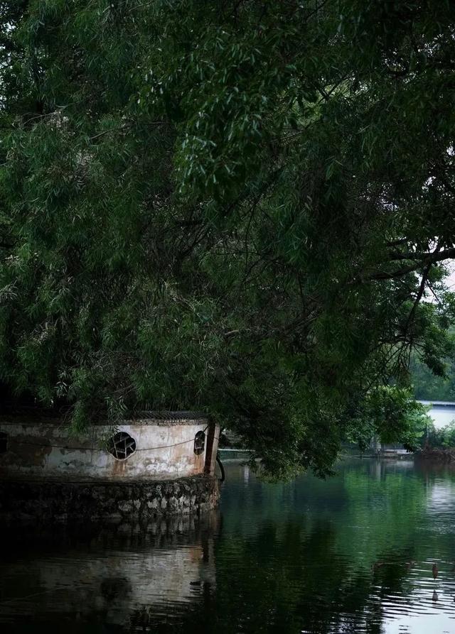 昆明周边一日游最值得去的地方,昆明周边一日游的地方推荐