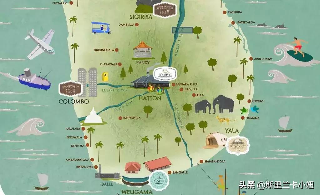 鏂噷鍏板崱缃楄幈澶忔湹,缃楄幈澶忔湹闇嶉】鑻卞紡鑼跺洯