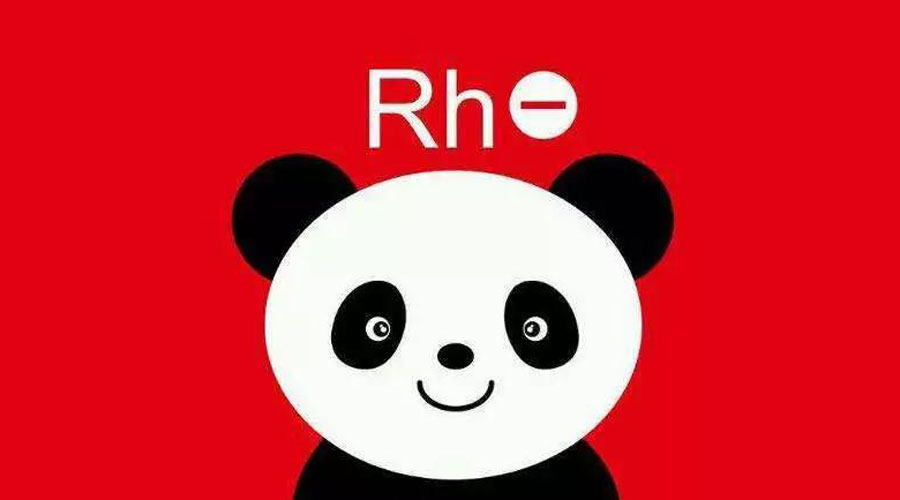 rh血型熊猫血全国有多少人,rh阴性熊猫血哪种最稀有