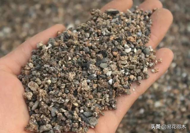 养花煤渣直接掺到土里吗,蜂窝煤渣养花好处多