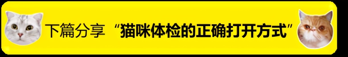 狗吃多了猪肝会得糖尿病吗,狗也会得甲亢吗