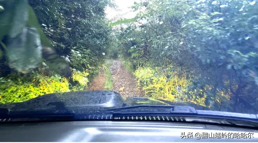 从河南到四川沿途风景的变化,山西到河南沿途有哪些好景点