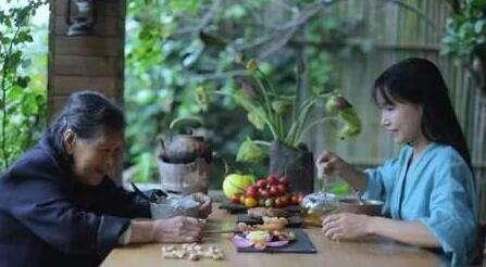 李子柒乡村振兴大使,李子柒乡村文化振兴