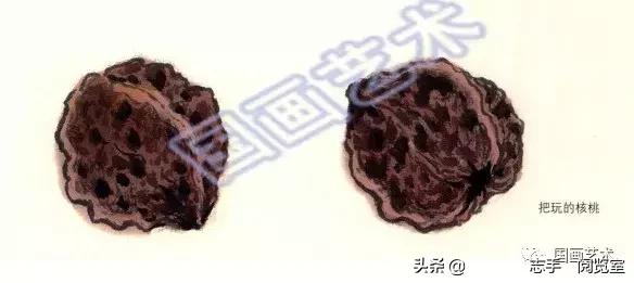 八种常见蔬菜画法,各种蔬菜画法