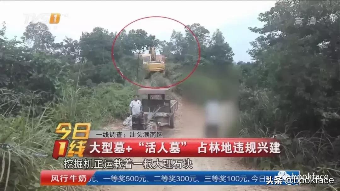 慈禧陵墓门外一块石雕,慈禧墓九件珍品图片