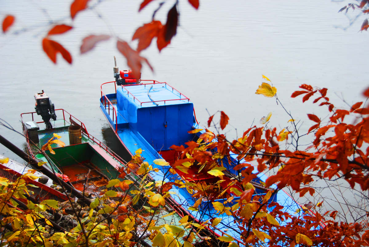 吉林大米特点,吉林最好的大米产地排名