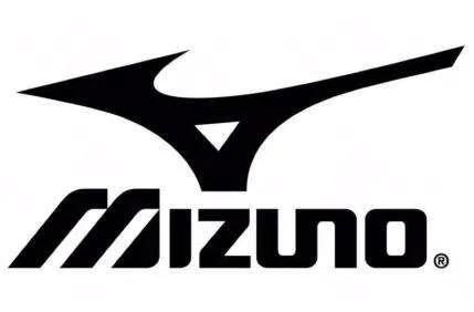 鸿星尔克上奥运会,鸿星尔克赞助奥运会吗