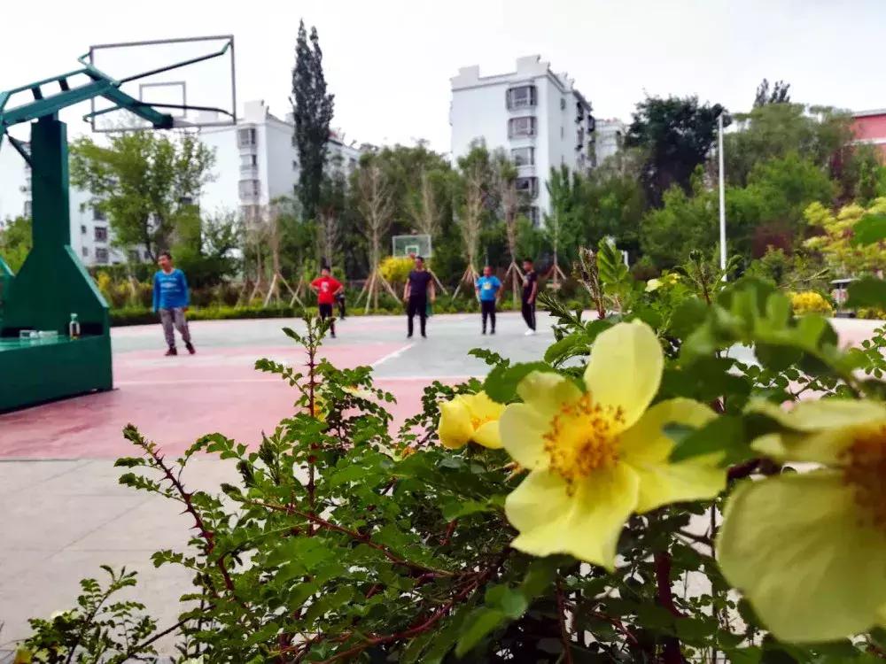 新疆哈密是怎样的一个城市,哈密是一个怎么样的城市