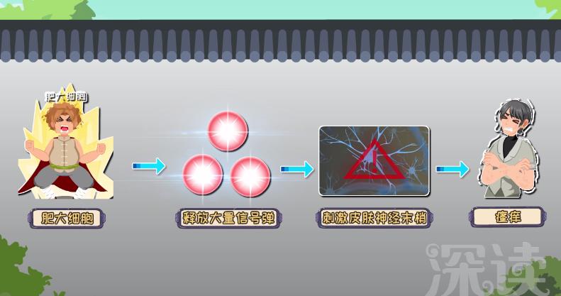 荨麻疹详细描述,麻疹的发病机制
