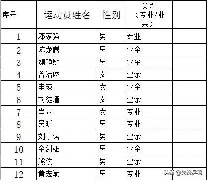 衡山派怎么玩,衡山派异术