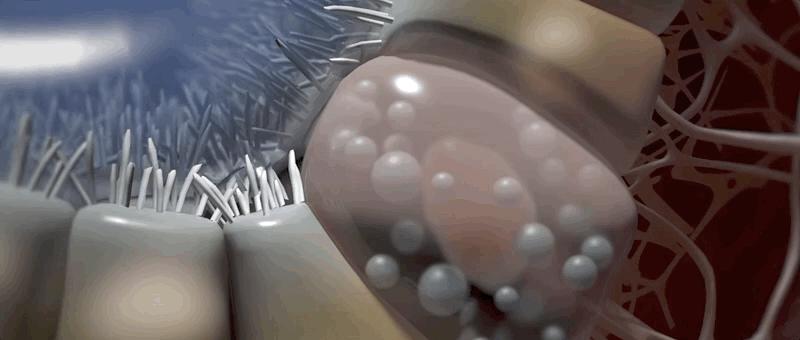 哮喘过敏症的症状,呼吸道过敏哮喘症状