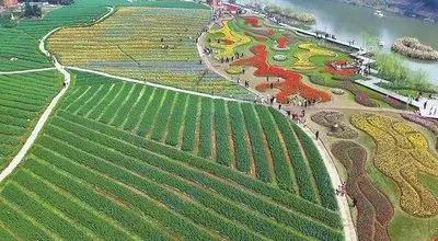 农业是创业的风口？“农业投资热”到底有没有真正到来？