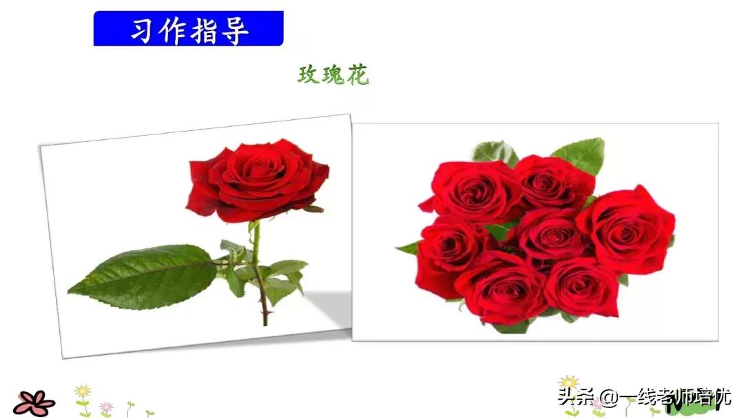 部编版三年级我来编童话视频,三年级语文上册编童话要300个字