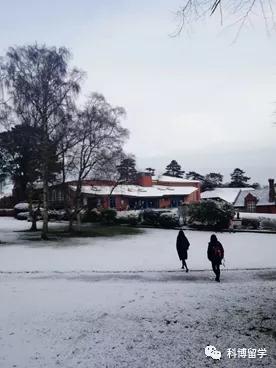 在英成长那些事|疫情下，从高中到大学的过渡